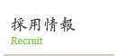 採用情報